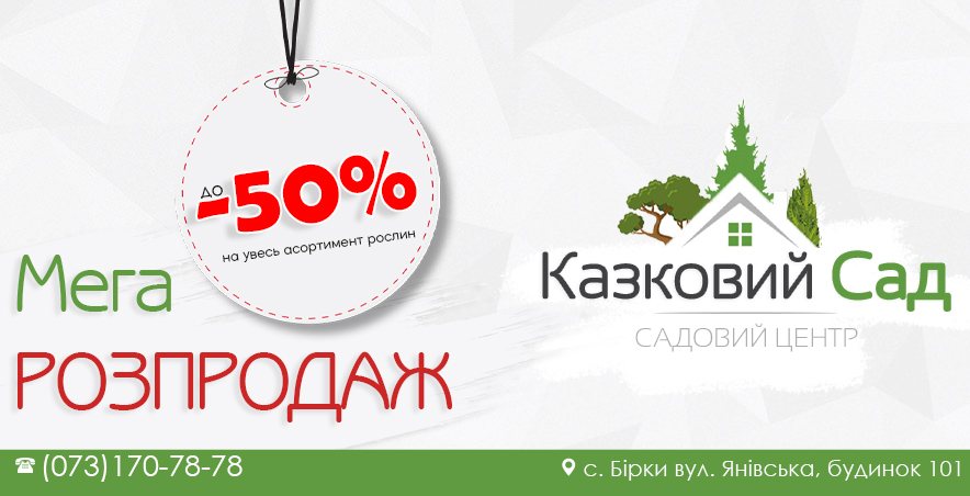 Мега розпродаж до -50% 